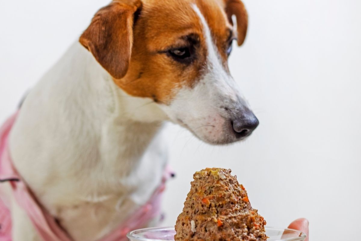 pâté pour chien haut de gamme